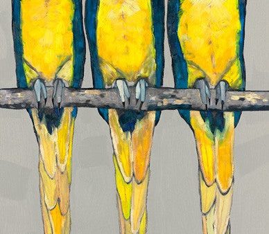 Three Macaws Canvas Discount