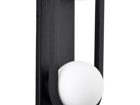 Cradle Large LED Globe Sconce For Sale