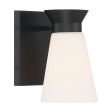 Caleta 1-Light Vanity Sconce Fashion