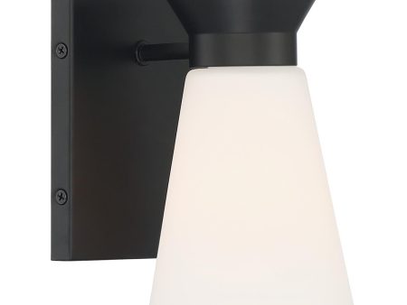 Caleta 1-Light Vanity Sconce Fashion