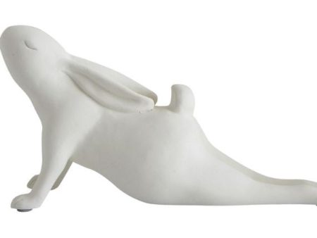 Yoga Bunny Upward Hot on Sale