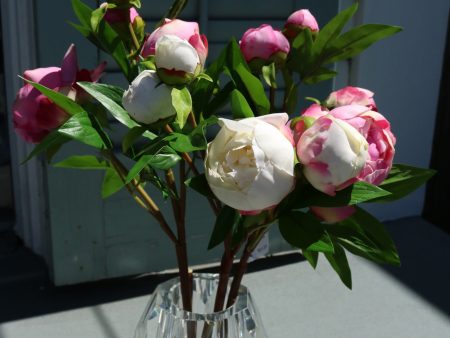 Peony Buds (4) For Discount