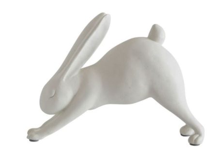 Yoga Bunny Downward Online