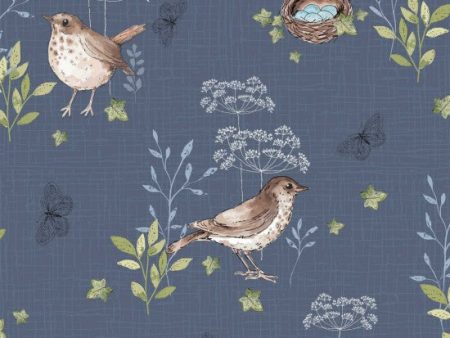 Woodland Thrush 104 on Sale