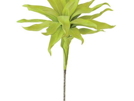 Bright Green Flora on Sale