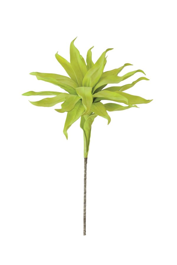 Bright Green Flora on Sale