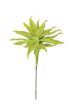 Bright Green Flora on Sale