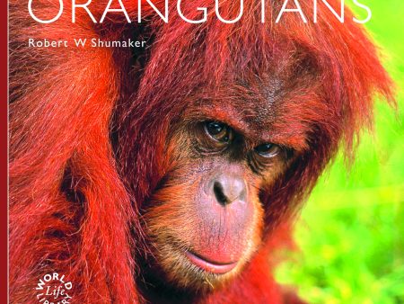 World Life Library: Orangutans Discount