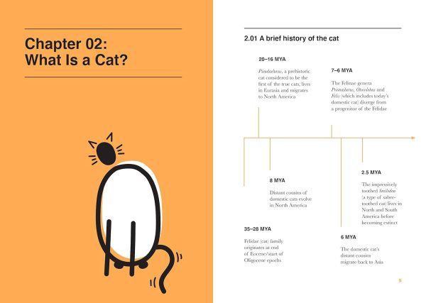 Catology: The Weird and Wonderful Science of Cats Supply